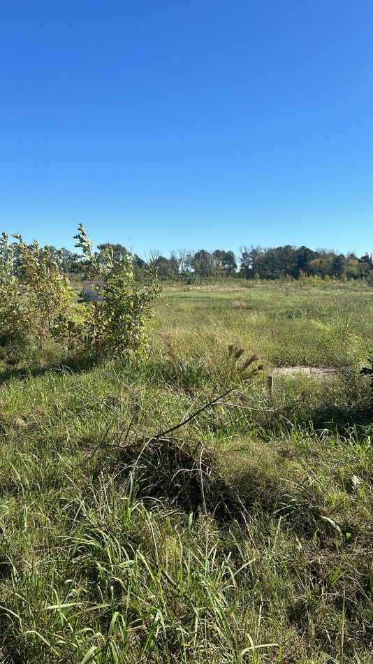 TERRENOS INDIVIDUALES 300 M2 OPORTUNIDAD SE ESCUCHAN OFERTAS VALOR NEGOCIABLE
