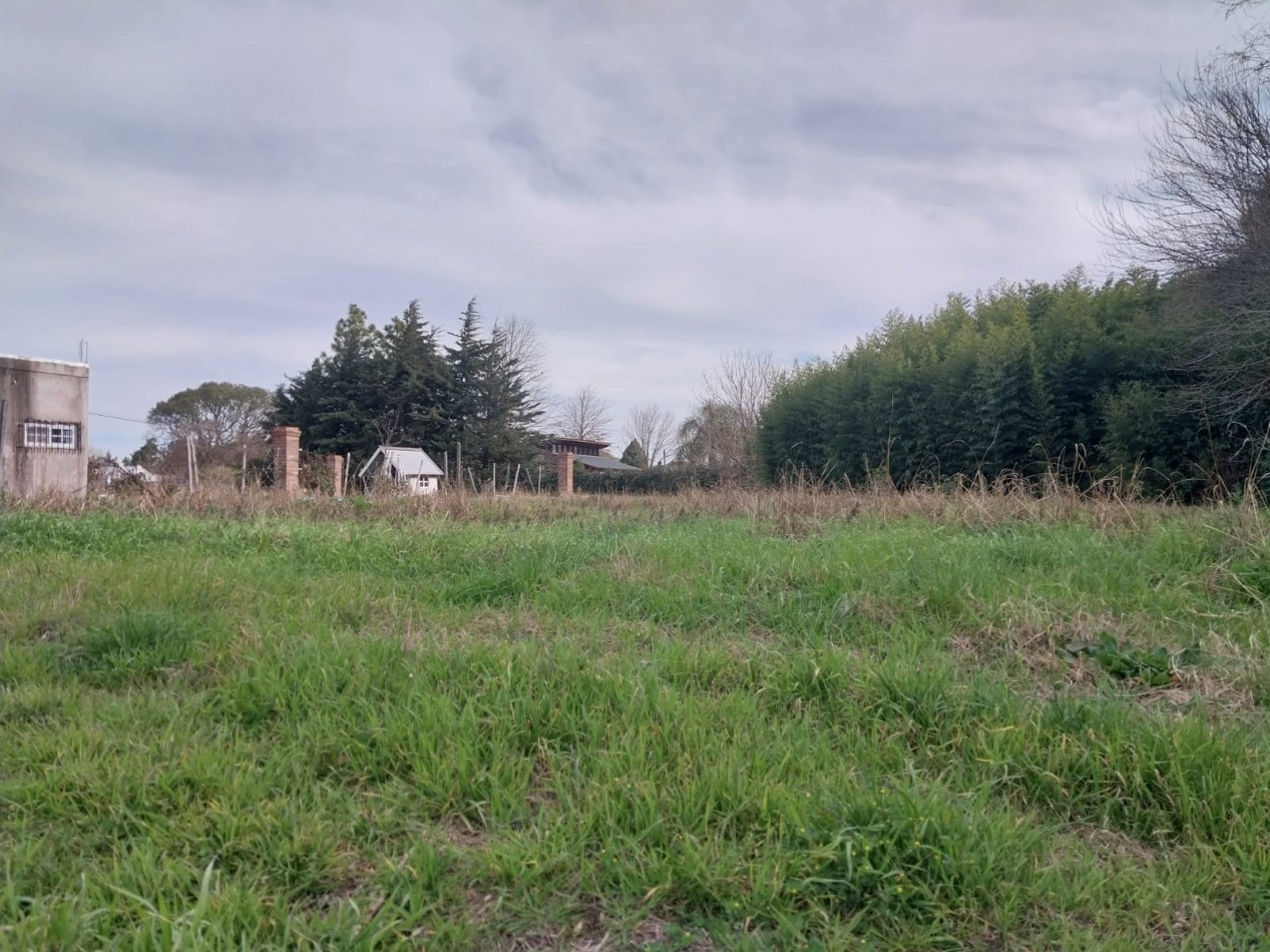 2 LOTES DE TERRENO JUNTOS O SEPARADOS 550 M2 EXCELENTE UBICACION CENTRICA SE ESCUCHAN OFERTAS
