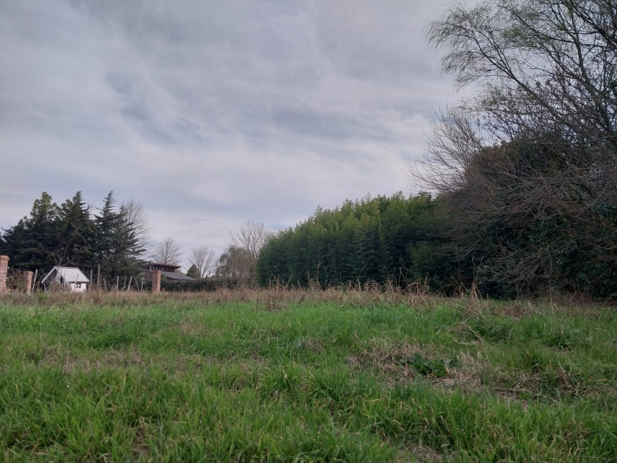 2 LOTES DE TERRENO JUNTOS O SEPARADOS 550 M2 EXCELENTE UBICACION CENTRICA SE ESCUCHAN OFERTAS