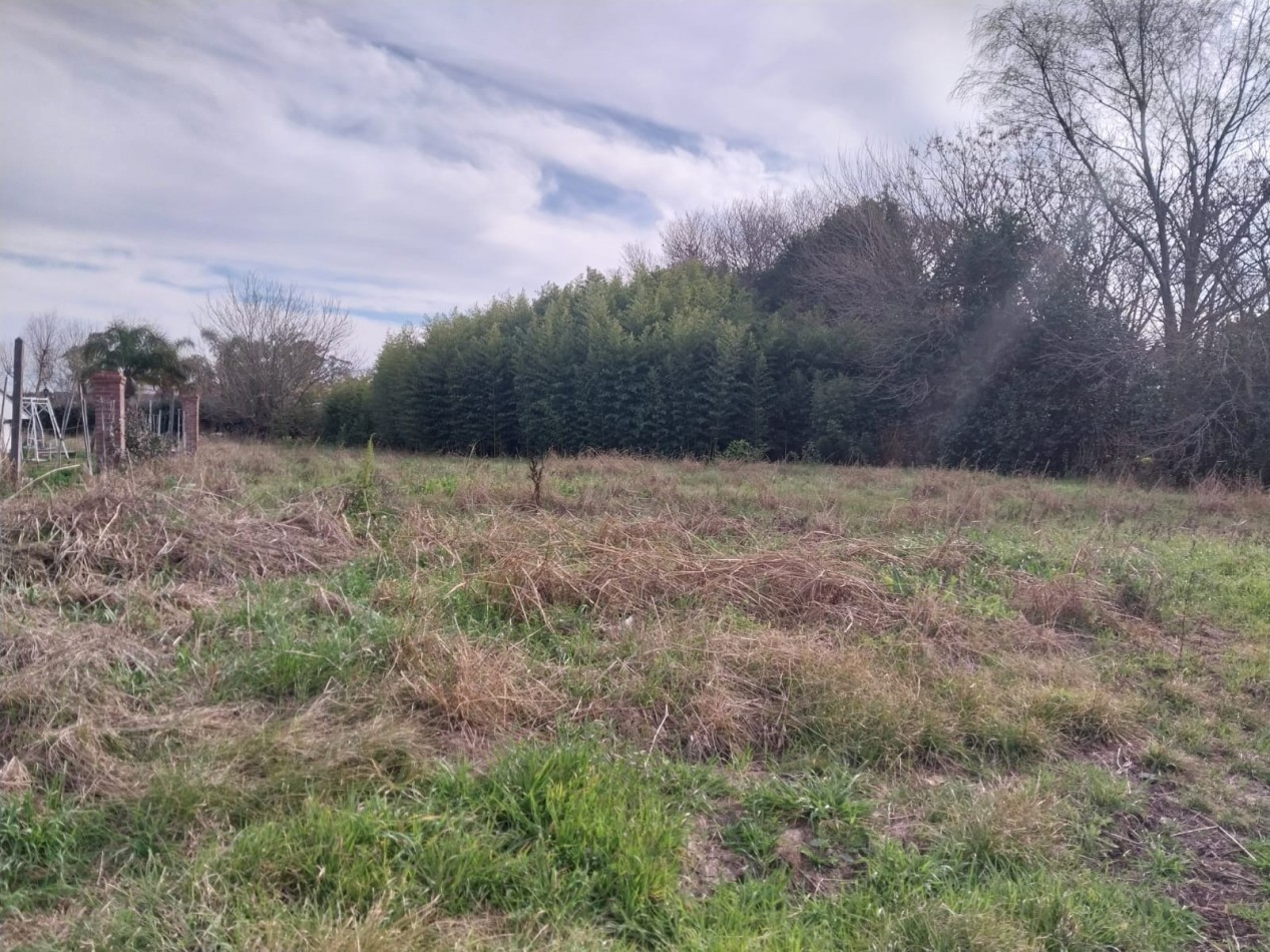 2 LOTES DE TERRENO JUNTOS O SEPARADOS 550 M2 EXCELENTE UBICACION CENTRICA SE ESCUCHAN OFERTAS