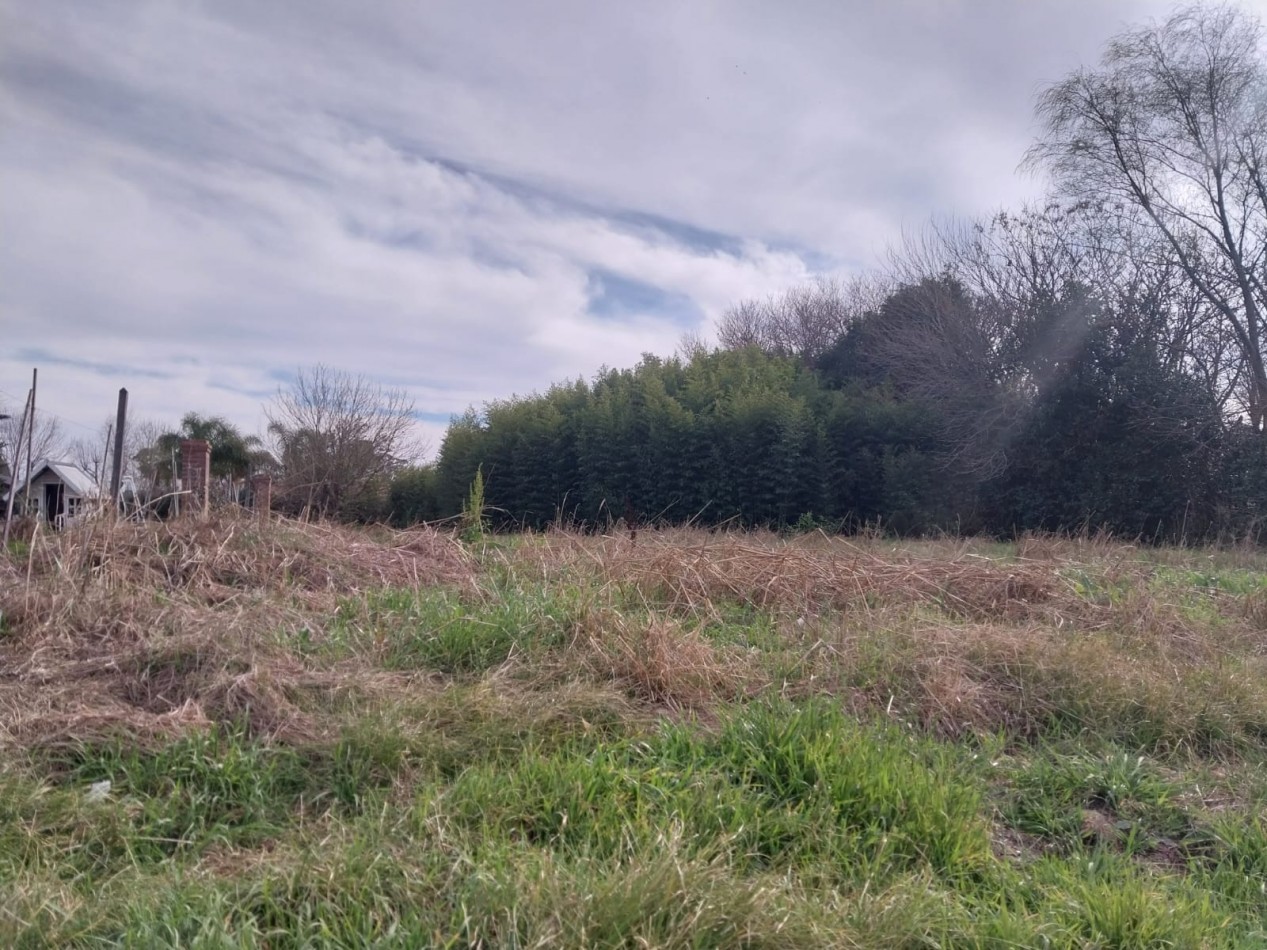 2 LOTES DE TERRENO JUNTOS O SEPARADOS 550 M2 EXCELENTE UBICACION CENTRICA SE ESCUCHAN OFERTAS