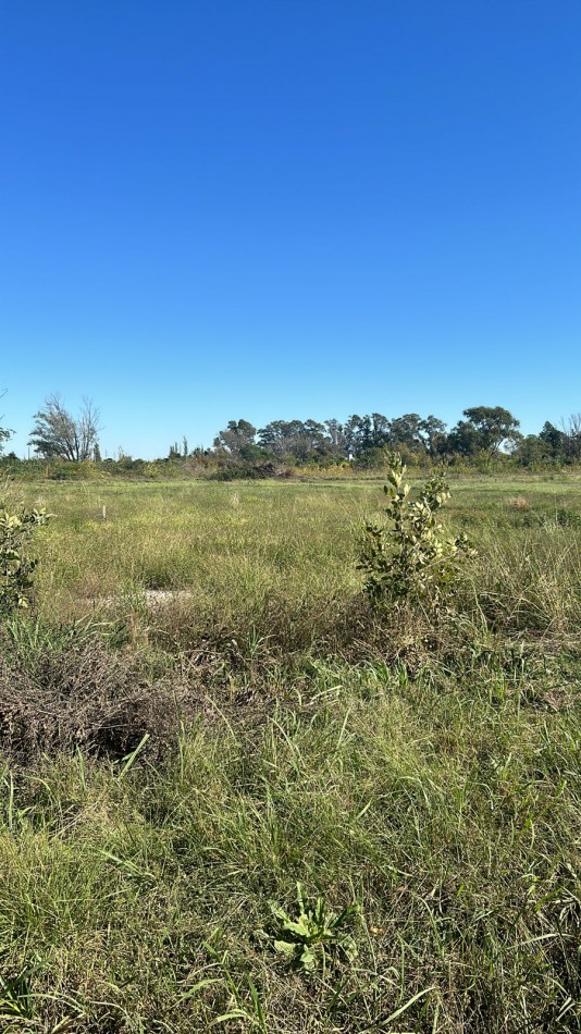 FRACCIONES DE TERRENO 1560 M2 A 400 METROS DE BARRIO DON MATEO  FINANCIACION SE ESCUCHAN OFERTAS