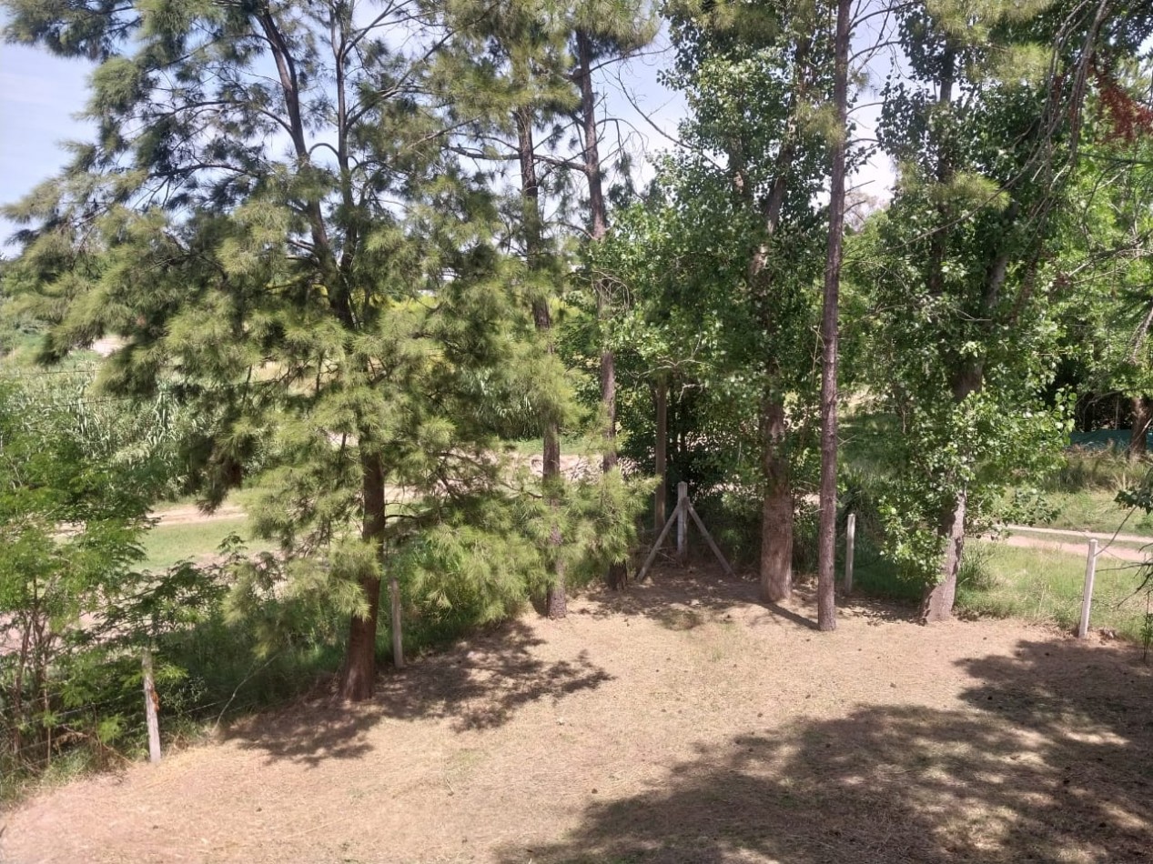 Casa con salida al Rio Carcaraña con una hermosa vista emplazada en 990 m2 con 2 ingresos mas pileta  ideal para un emprendimiento