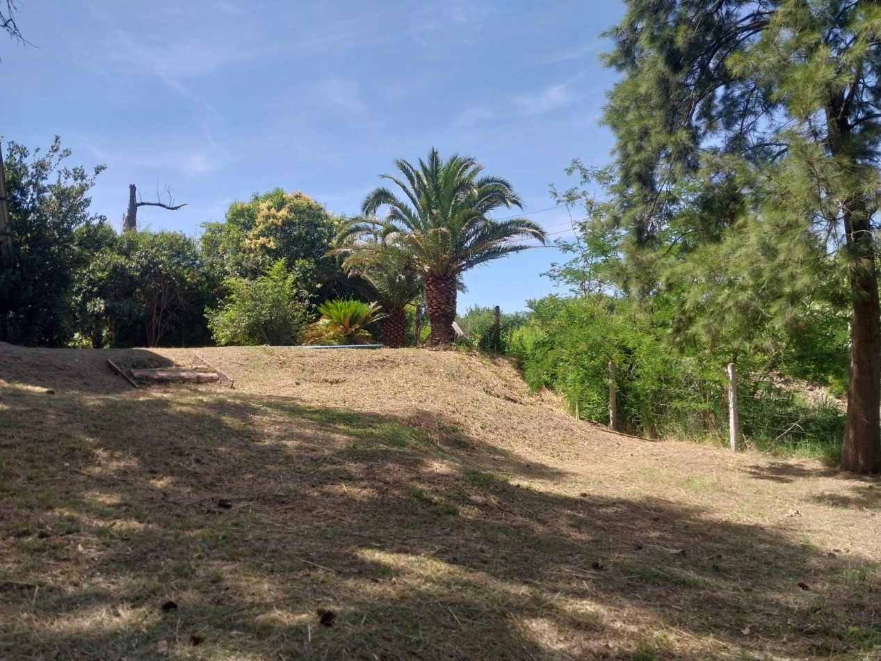 Casa con salida al Rio Carcaraña con una hermosa vista emplazada en 990 m2 con 2 ingresos mas pileta  ideal para un emprendimiento