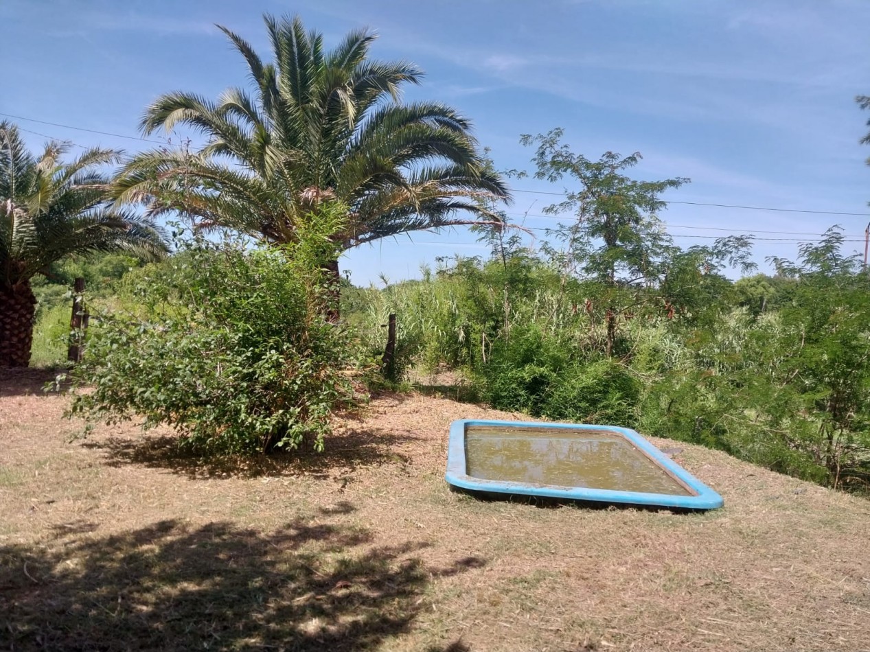 Casa con salida al Rio Carcaraña con una hermosa vista emplazada en 990 m2 con 2 ingresos mas pileta  ideal para un emprendimiento