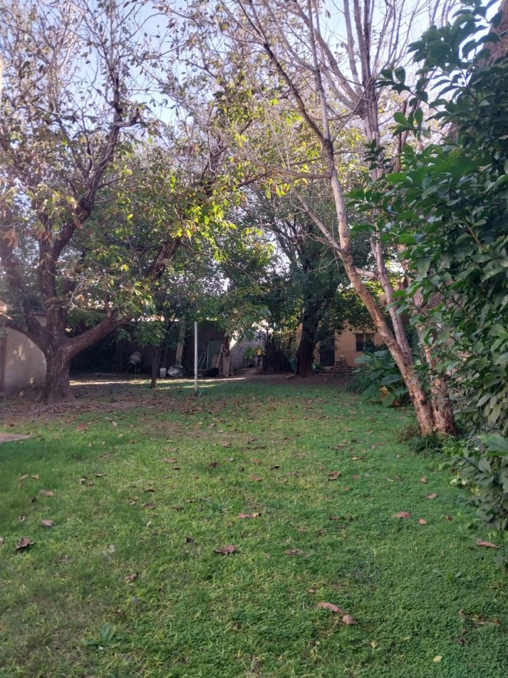 2 Casas en un amplio terreno cochera semicubierta se acepta permuta por Departamento de 2 dormitorios por el 50% SE ESCUCHAN OFERTAS