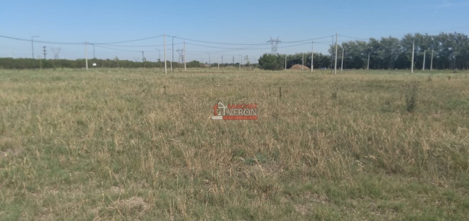 PUEBLO ESTHER  LOTEO PALO ALTO BARRIO ABIERTO  TERRENOS EN VENTA 6 LOTES CON MEJORAS JUNTOS O SEPARADOS EXCELENTE UBICACION,  FACIL ACCESO (ESCRITURADOS)