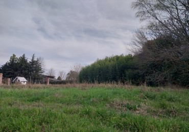 2 LOTES DE TERRENO JUNTOS O SEPARADOS 550 M2 EXCELENTE UBICACION CENTRICA SE ESCUCHAN OFERTAS